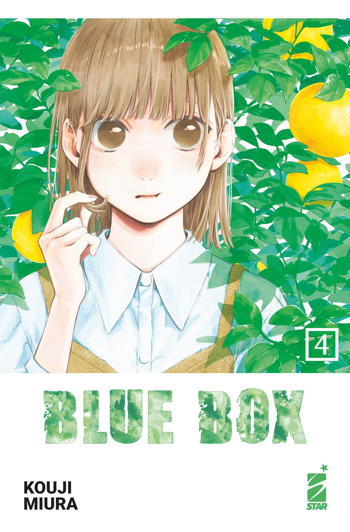 BLUE BOX 4 (DI 15)