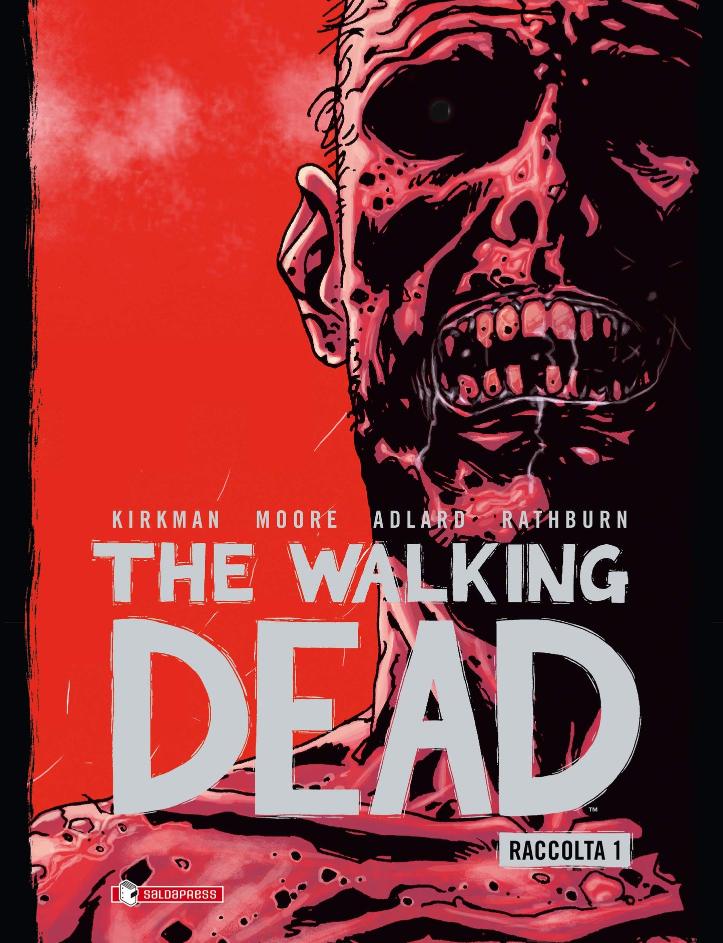 THE WALKING DEAD RACCOLTA 1 (DI 9)