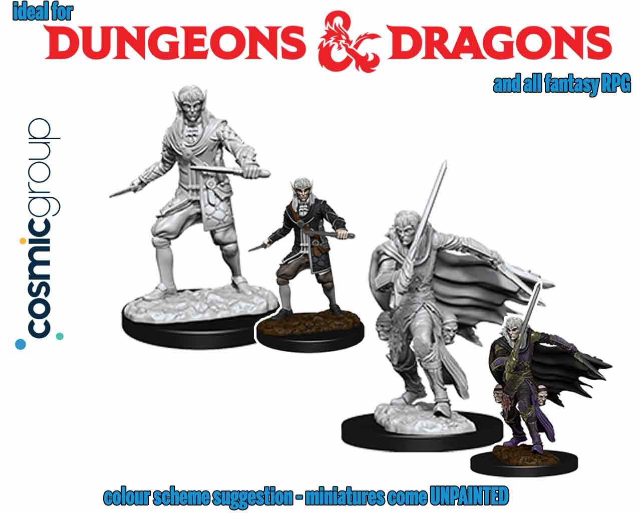 PATHFINDER DCUM MINIATURES - MALE ELF ROGUE