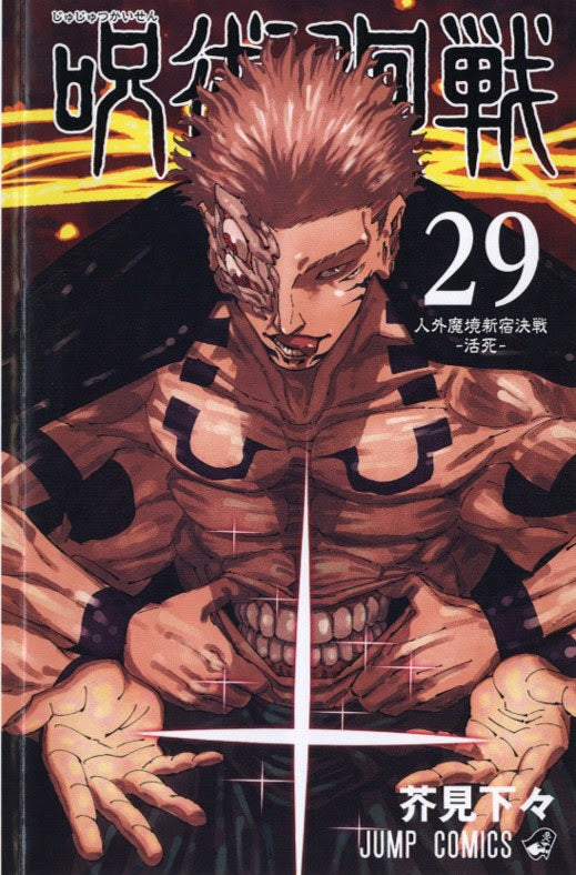 JUJUTSU KAISEN SORCERY FIGHT 29