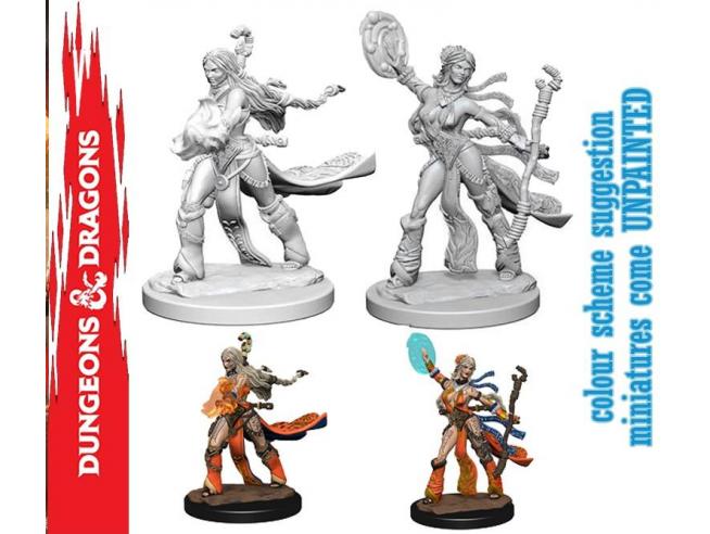 PATHFINDER BATTLES MINIATURES - HUMAN FEMALE SORCERER