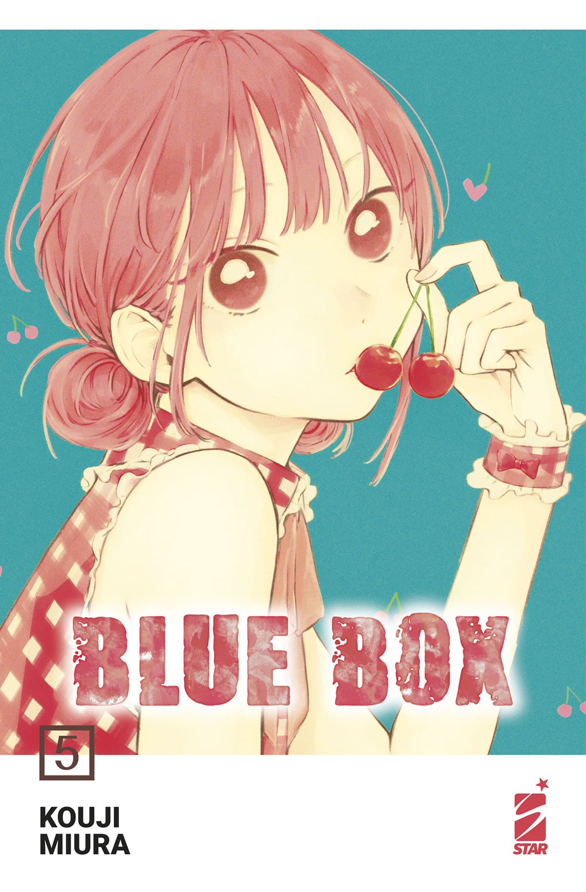 BLUE BOX 5 (DI 15)
