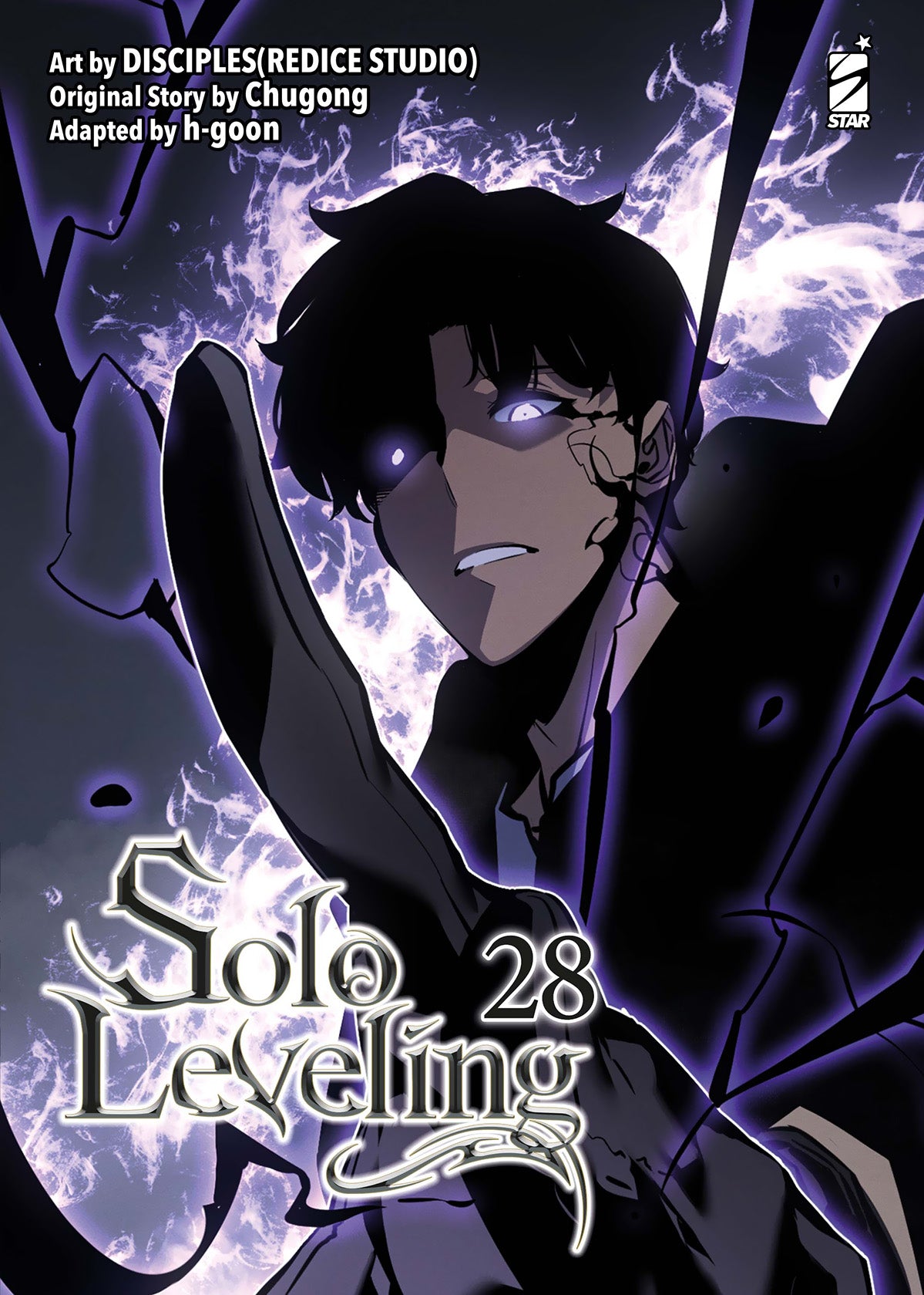 SOLO LEVELING 28