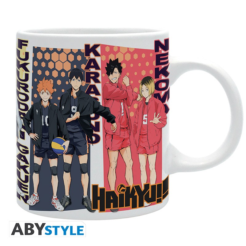 HAIKYU RIVAL TEAMS MUG