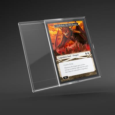 SLIDE CARD CASES 12PZ