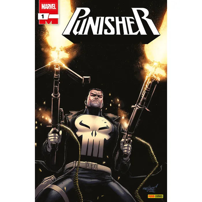 PUNISHER 1