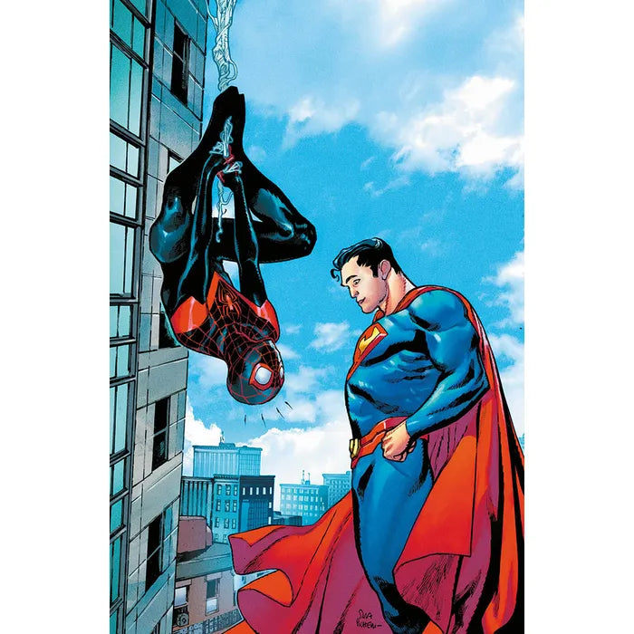 SPIDER-MAN/SUPERMAN VRT S.PICHELLI